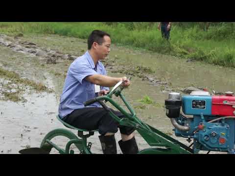 Mini Paddy rotary power tiller agricul tural/Paddy Management machinery/Paddy Field Rice Weeder