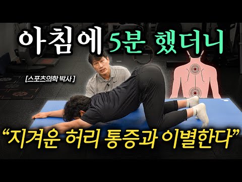 "굳은 허리 시원하게 풀린다." 아침 눈뜨마자마 5분 스트레칭 방법 (김병곤 박사 1부)