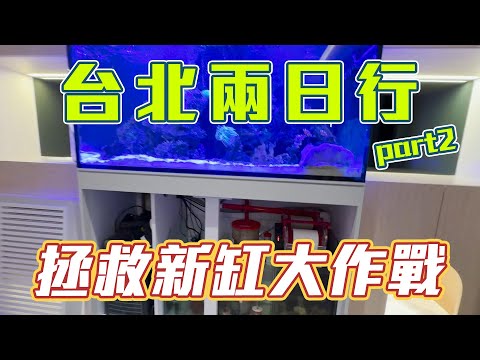 【藍箱水族】自行開缸大小問題不斷？拯救新缸大作戰！開缸大小事一次解決~工作完巡遊台北一圈~