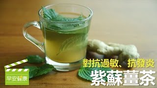 對抗過敏、抗發炎，紫蘇薑茶【早安健康】