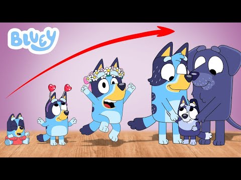 Bluey Heeler Growing Up Compilation | Go WOW