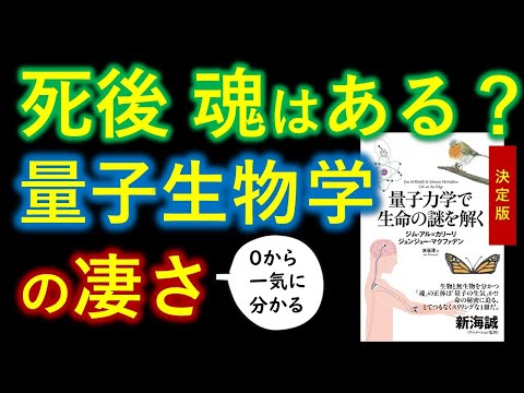 死後・魂はある？ 量子生物学と仏教の驚くべき答え【０から一気に分かる】