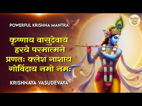 Lord Krishna's Mantra to take away all Sorrows "Krishnaya Vasudevaya Haraye Paramatmane | Mantra