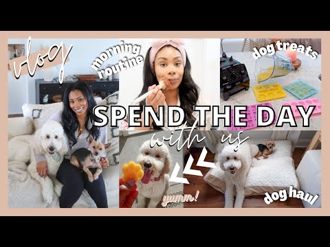 DAY IN THE LIFE VLOG: MORNING ROUTINE, AFFORDABLE DOG HAUL & HOMEMADE DOG TREATS // LoveLexyNicole