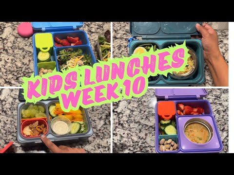 School Lunchbox Ideas / Kids Lunches / Elementary School Lunchbox Ideas