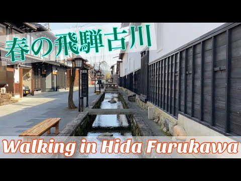 【飛騨古川】高山の奥座敷をショート散歩 / Sightseeing in Hida Furukawa / Gifu