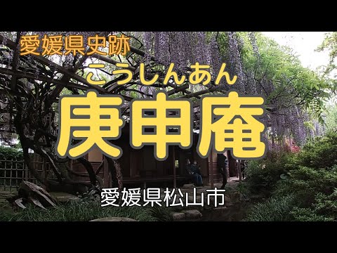 【庚申庵】本当に見どころは藤の花しかないのか？【松山三庵めぐり】（その1）