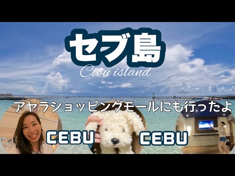 セブ島 アヤラショッピングモールにも行ったよ　海が綺麗すぎた