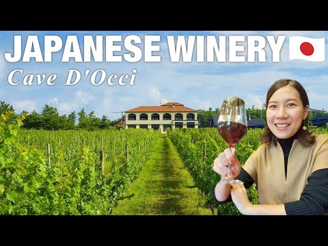 NIIGATA🇯🇵  Go to a Japanese winery "Cave D'Occi"  🍇 Japan travel vlog