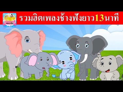 รวมฮิตเพลงช้างฟังยาว13นาที