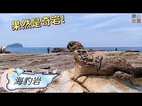 [基隆中正] 八斗子海豹岩