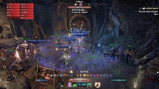 Halls of Fabrication | Tick-Tock Tormentor | 222K | Warden Healer | PsNa