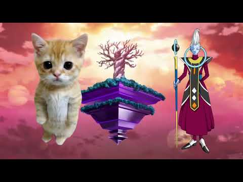 Cat vs Dbs | who is strongest