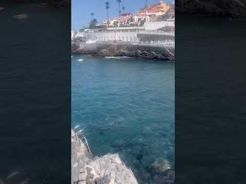 🏝️Amaizing clear water with crab 🦀 Playa de Arena #tenerife #clearwaterbeach #playadearena