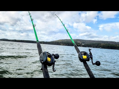 This SIMPLE TACTIC Catches GIANT CATFISH!! (Works anywhere)