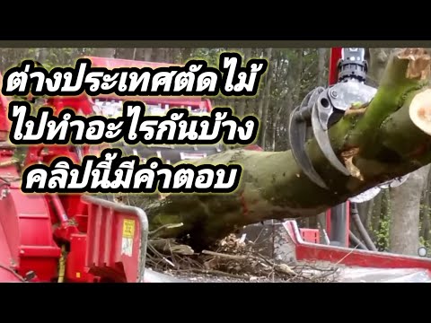 รวมเครื่องตัดไม้และแปรรูปไม้ที่ทันสมัยของต่างประเทศ