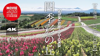 北海道　美瑛　四季彩の丘  4K  Four seasons Hill