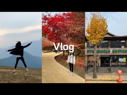 SUB)  Korea Travel vlog | Mungyeong Day Trip | Mungyeong Saejae | Hanok Starbucks | Fall foliage