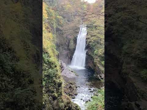 仙台市郊外　秋保大滝