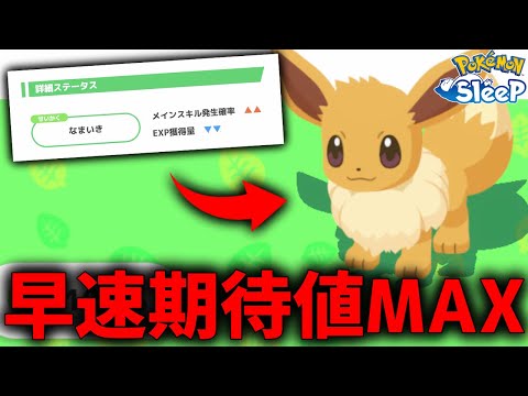 ブイズ系どれに進化させても強い性格、後はサブスキルだが...【ポケモンスリープ】