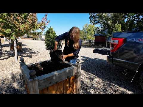 Planting My Parent’s Pots up for Fall! 🍁🥰🍂 // Garden Answer