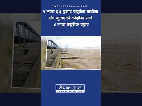 १ लाख ६५ हजार क्युसेक बाढीमा बाँध फुटाएको कोशीमा साढे ४ लाख क्युसेक वहाव