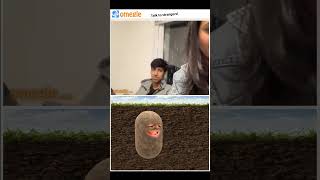 The last guy was my favorite 😂 #zebkii #omegle #potato