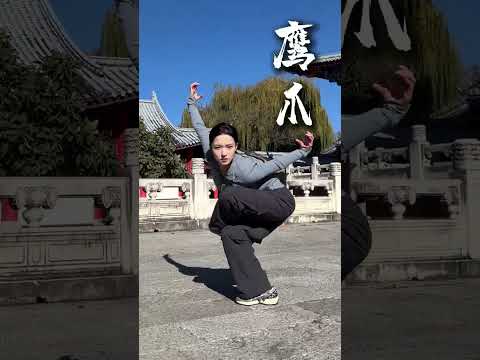 来一套帅气的武术合集吧 太极 太极拳 武术