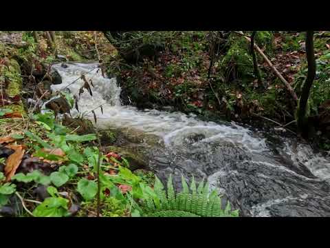 Relax For 10 Minutes - Calming Outdoor Stream Sounds