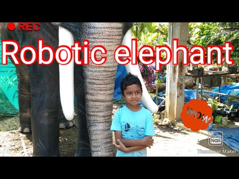 റോബോട്ടിക് ആനയോടൊപ്പം /robotic elephant original model