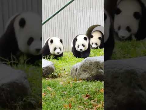 はい、そうですお昼の時間です
Come On! Time for Lunch！