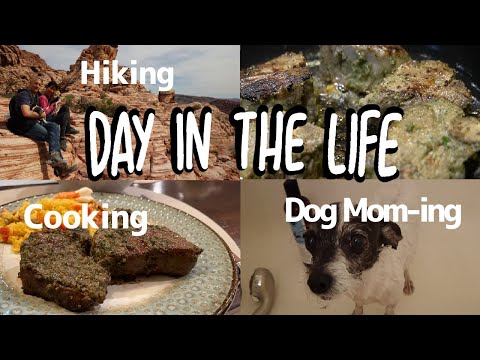 Kraft Mountain Loop Hiking Trail and Roasted Lamb Loin Chop | Las Vegas| Hiking with Dogs