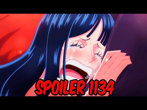 ONE PIECE 1134 (SPOILER) | Buho (DESCONTROLADISIMO XDDDDD)