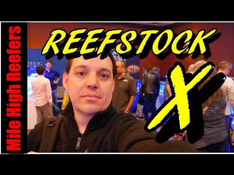 REEFSTOCK X