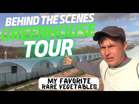 Heirloom Seed Company Greenhouse Tour: My Favorite Rare Vegetables