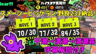 【字幕解説付き】スメーシーワールドビッグラン 野良で231納品！【スプラトゥーン3/サーモンランNW】