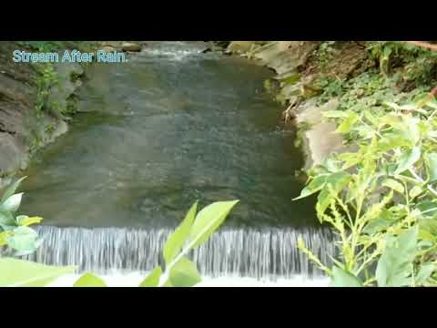 Relaxing Music: Stream after Rain.  - Dong suoi sau con mua.