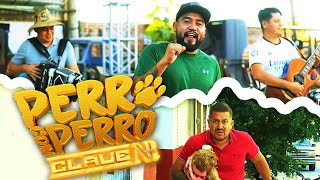 Clave NR - Perro con perro (VIDEO OFICIAL)