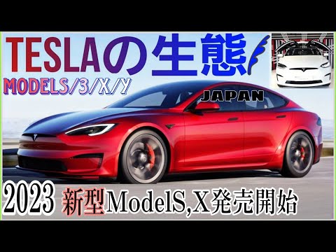 テスラ新型ModelS,Xがついに日本で発売開始！気になる価格や航続距離、内外装、充電にかかる時間、バッテリー保証は？Model3,Yも詳しく解説してみました|Teslaの生態