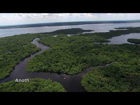 Amazon Unveiled: A Journey Through Earth's Lungs