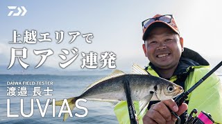 [アジング] 24LUVIAS 実釣インプレッション in 新潟 渡邊長士