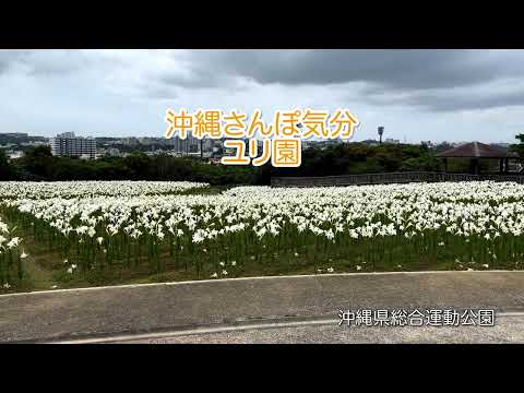 沖縄さんぽ気分・ユリ園 | @沖縄県総合運動公園