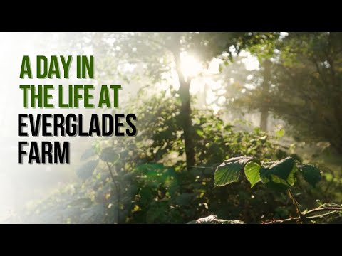 A Day in the Life at Everglades Farm: Everglades Backstage Pass