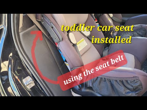 How to install a forward facing toddler car seat using the seat belt|Safety 1st|Alpha Omega