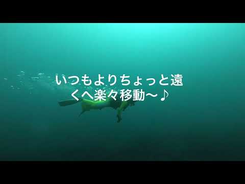 水中スクーターで遊んできました‼︎楽チン〜♪