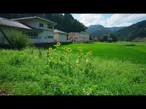 Walking around  Ijira no Sato in Summer Japan [4KHDR]夏の伊自良の里 散策