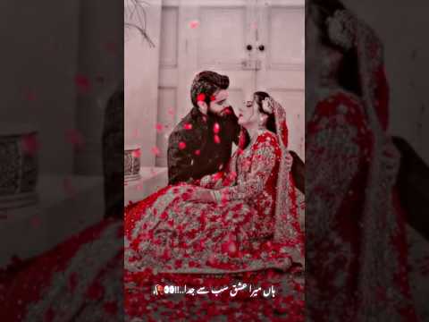 Tera mera hai pyaar amar| Noor e jahan| ishq murshid|#whatsapp_status #love #ishqmurshid