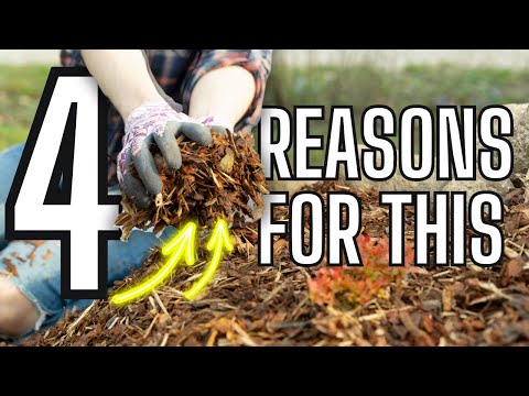 4 Reason To Mulch Vs. 4 Reasons NOT To Mulch In Fall