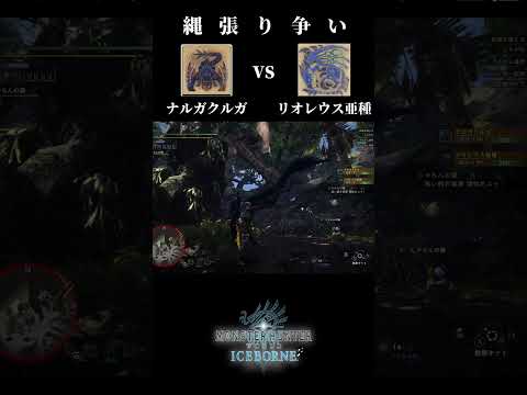 【縄張り争い】Nargacuga(ナルガクルガ) vs Azure Rathalos(リオレウス亜種)【モンハンワールドアイスボーン】＃shorts #mhw  #monsterhunter