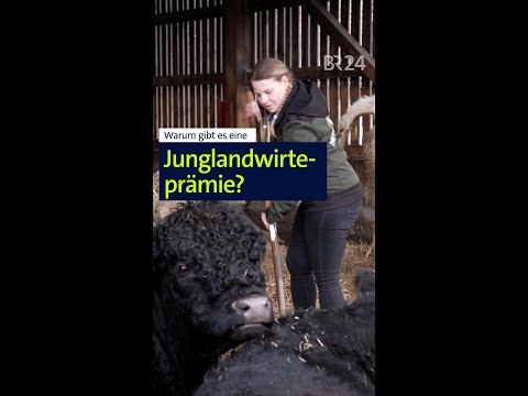 Warum gibt es eine Junglandwirteprämie? #landwirtschaft #shorts